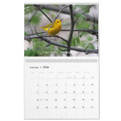 Springtime-juwelen - Warblers-kalender Kalender (Jan 2026)
