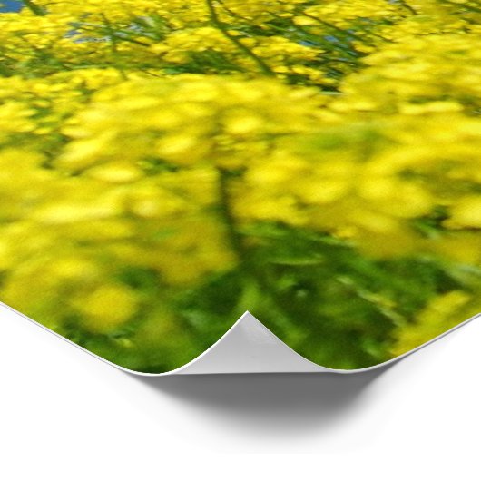 Springtime Meadow Poster (Hoek)