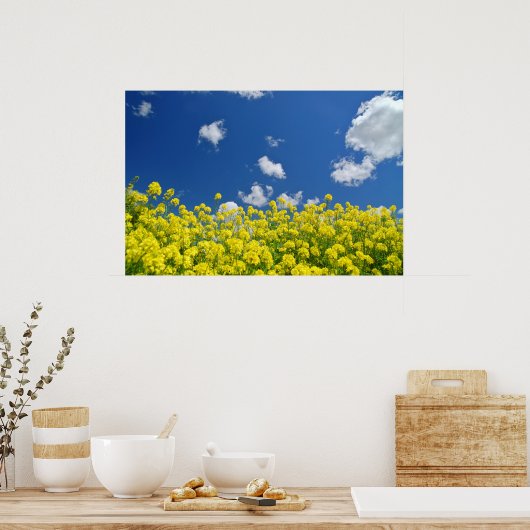 Springtime Meadow Poster (Keuken)