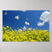 Springtime Meadow Poster (Voorkant)