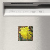 Springtime narcis magneet (Insitu (Vaatwasser))