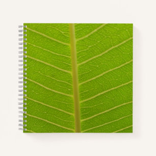 Springtime Notitieboek