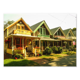 Springtime op de wijngaard van Martha - MVCMA Foto Afdruk