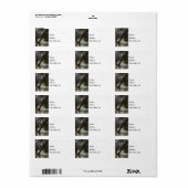 Springtime op Finley River Address Label (Full Sheet)