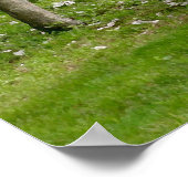 Springtime Poster (Hoek)