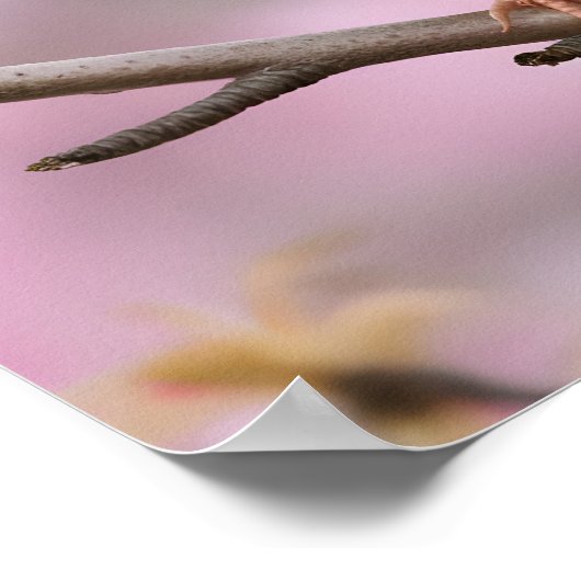 Springtime Serenity: Schattigee mus Poster (Hoek)