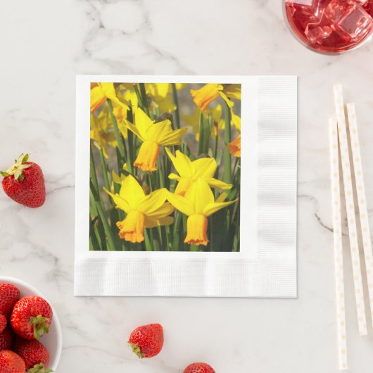 Springtime Yellow Daffodils Floral Servet (Insitu)