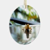 sprinkhaan keramisch ornament (Rechts)