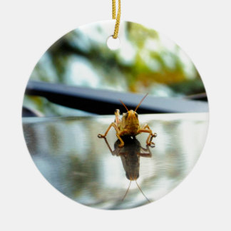 sprinkhaan keramisch ornament