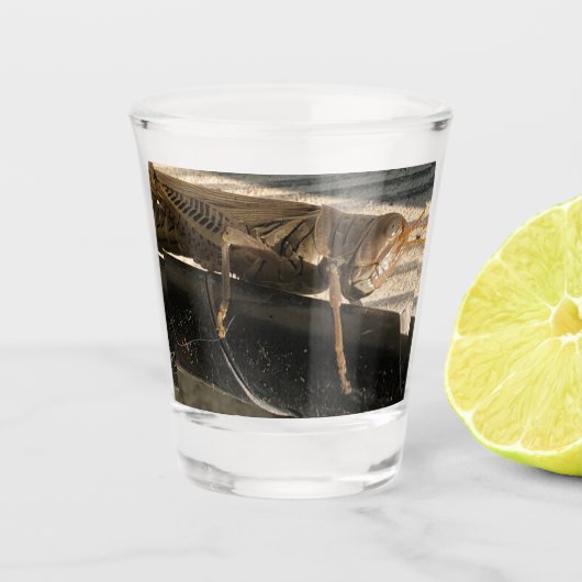 Sprinkhaan Shot Glas (Voorkant)
