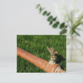 Sprinkler Briefkaart (Staand voorkant)