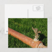 Sprinkler Briefkaart (Voorkant / Achterkant)