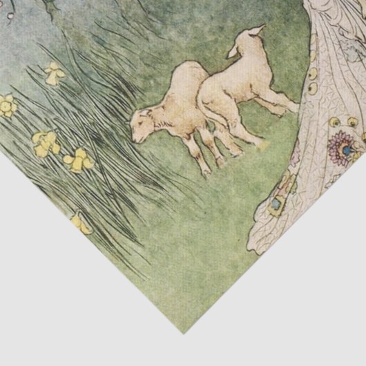  sprinses en schapenvlees tissuepapier (Detail)