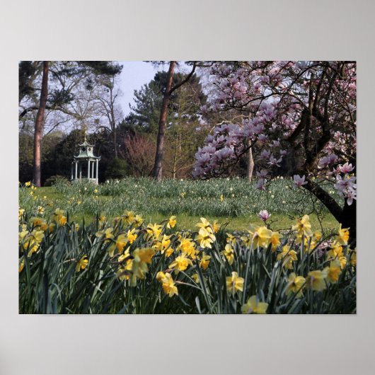 SPRINTEMPS DAFFODIL GARDEN POSTER (Devant)