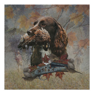 Sprocker Spaniel, Pistool hondenkunst Perfect Poster