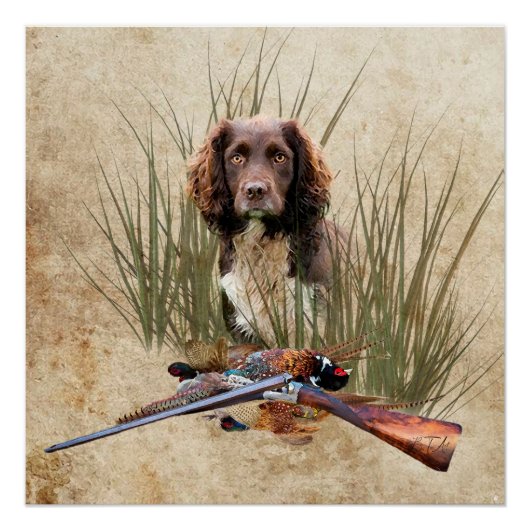 Sprocker Spaniel Tapestry Perfect Poster (Voorkant)