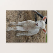 Sproeilammeren Legpuzzel (Horizontaal)