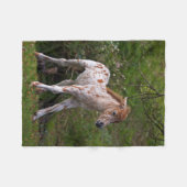 Sproeten fleece deken (Voorkant (Horizontaal))