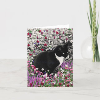 Sproeten in Bloemen II - de Kat van het Kat van de Kaart