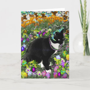 Sproeten in de Jacht voor Gekleurde Paaseieren Feestdagen Kaart