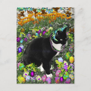 Sproeten in de Jacht voor Paaseieren Feestdagenkaart