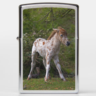 Sproeten Power Bank/Lader