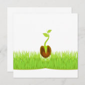 Sprout! Aankondiging (Voorkant / Achterkant)