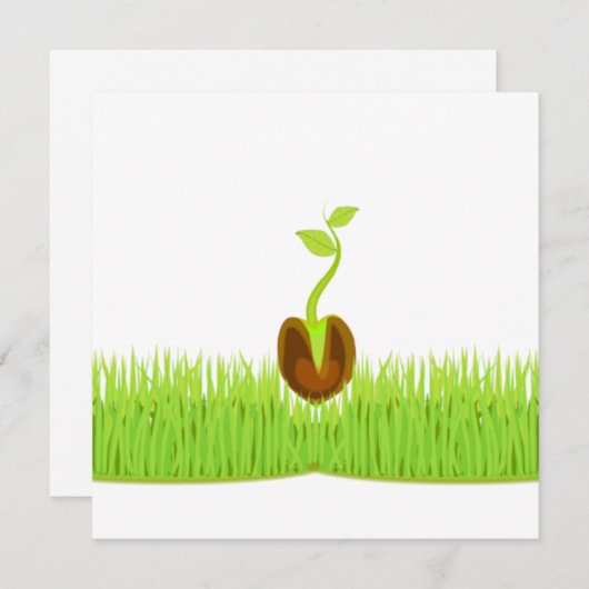 Sprout! Aankondiging (Voorkant / Achterkant)