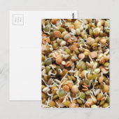Sprouteren Linzen mengen Briefkaart (Voorkant / Achterkant)