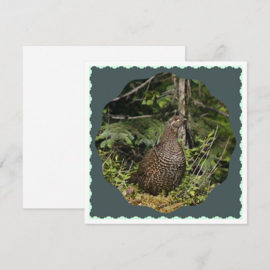 Spruce Grouse (Voorkant / Achterkant)