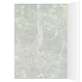 Spruce Grouse 2 - 5 "x 7" Art Kaart (Binnen (Links))
