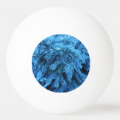 Spruce takken bedekt met sneeuw- en vorstkristalle pingpongballen (Voorkant)