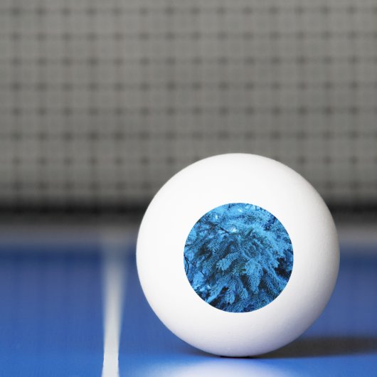 Spruce takken bedekt met sneeuw- en vorstkristalle pingpongballen (Net)