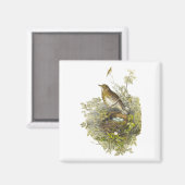 spruitbeschermer haar eieren magneet (Voorkant / Achterkant)