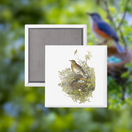 spruitbeschermer haar eieren magneet