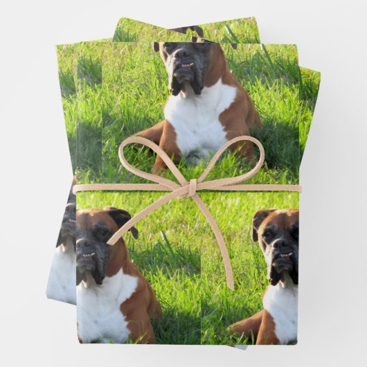 Spuit de papierbladen van de doos - Dog Wrapping Inpakpapier Vel (In situ)