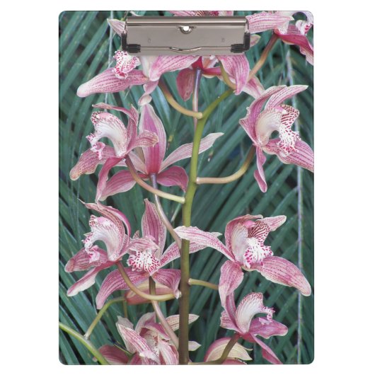 Spuit van roze cyberorchideeën klembord (Voorkant)