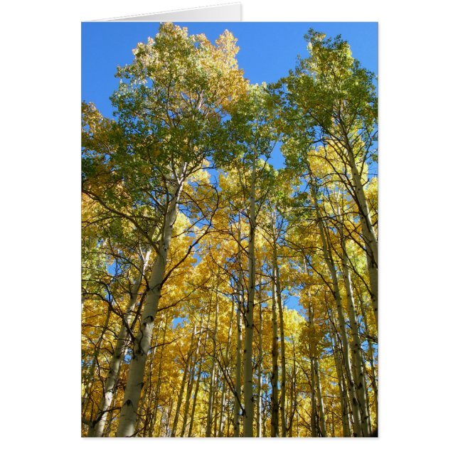 Spuiten in de Herfst (Voorkant)