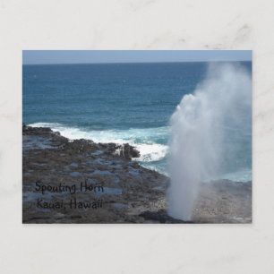 Spuitende Hoorn Kauai, Hawaii Briefkaart