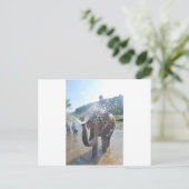 Spuitwater voor olifanten briefkaart (Staand voorkant)
