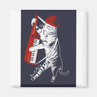 spullen op mijn kat - keytar magneet