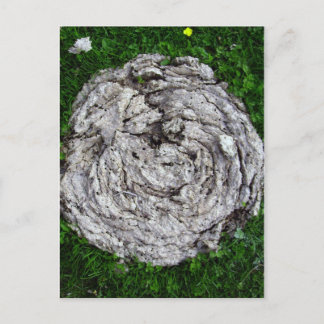 spullen van de koe briefkaart