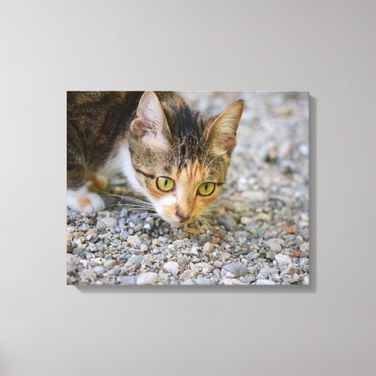 Spurensuche Canvas Afdruk (Voorkant)