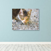 Spurensuche Canvas Afdruk (Insitu (Houten vloer))