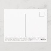 Sputnik 1 Earth Satellite Briefkaart (Achterkant)