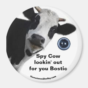 Spy Koe op zoek naar je Bostic fun magnet Magneet