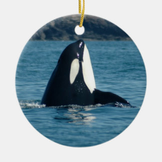 Spyhop Ornament