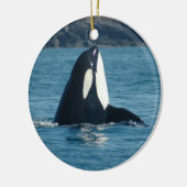 Spyhop Ornament (Links)