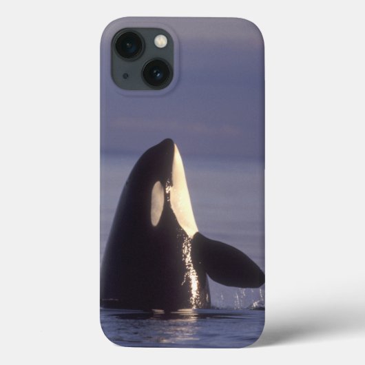 Spyhopping Orca Killer Whale Case-Mate iPhone Case (Achterkant)