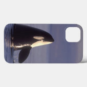 Spyhopping Orca Killer Whale Case-Mate iPhone Case (Achterkant (horizontaal))